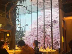 -桂满陇·海市蜃楼·黑金(国金店)