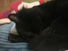 -胡同泥炉烤肉(令闻街店)