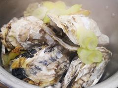 生蚝-木萨火锅店(开鲁路店)