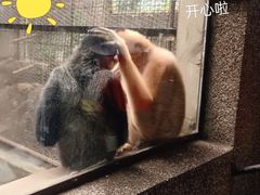 -昆明动物园