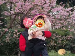 -南山植物园