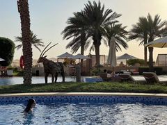 -阿布扎比沙漠皇宫酒店水疗中心