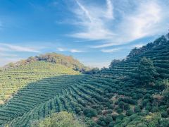 -中国茶叶博物馆(双峰馆区)