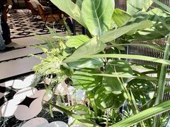 -一尺花园(安和花园店)