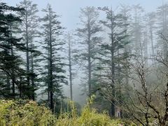 -瓦屋山景区