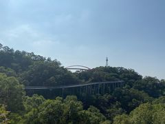 -金鸡山公园