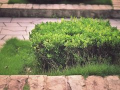 -苏州河梦清园环保主题公园