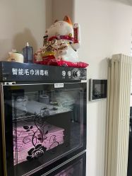 -苗塑堂减肥艾灸
