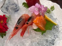 -黑松白鹿(金融街店)
