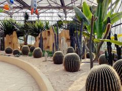 -南宫五洲植物乐园