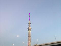 -台场海滨公园船码头