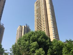 -重庆市江北嘴中央商务区中央公园