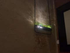 -新紫霞养生·影院足道·SPA(金山区店)