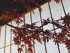 -和枫(众意路店)