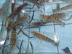 -渔民新村(番禺总店)