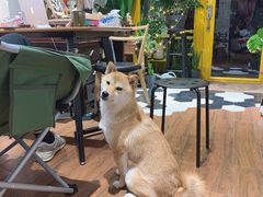 -About Bistro關於·泰式家庭料理