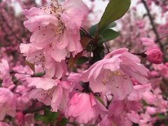 -白塘生态植物园