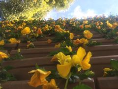 -云南民族大观园