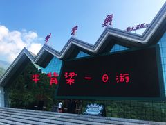 -牛背梁国家森林公园