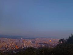 -长虫山生态公园风景林