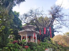-荔湾湖公园