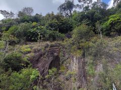 -海南热带雨林国家公园吊罗山景区