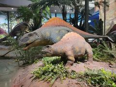 -湖南省地质博物馆