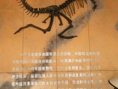 -中华恐龙园