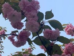 -观澜湖生态运动公社
