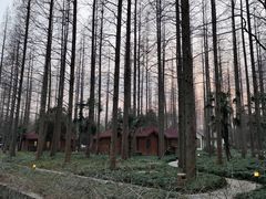 -上海怡沁园度假酒店