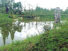 -长田漾湿地公园