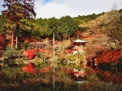 -醍醐寺