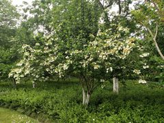 -杭州城北体育公园