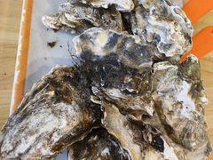 -蚝当家·海鲜龙虾烧烤(文二路原开蚝屋店)