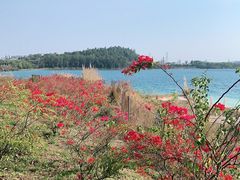 -露天矿生态公园