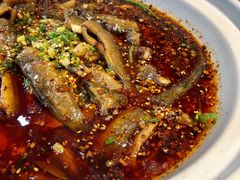 情妹耙泥鳅-情妹耙泥鳅·江湖川菜(科华店)
