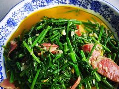 水蕨菜-瑶河山里菜