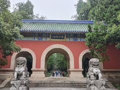 -灵谷景区