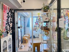 -有喵·猫咖·狗咖·40+猫狗有小奶狗(岗厦店)