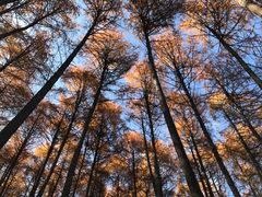 -硗碛藏寨·神木垒景区