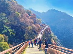 -少华山国家森林公园