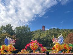 -惠山国家森林公园