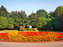-黄兴公园