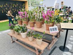 -上海鲜花港