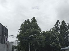-曲阜师范大学(曲阜校区)