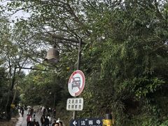 -普陀山慧济禅寺