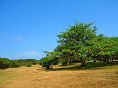 iphone_upload_pic-鹅銮鼻公园