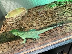 -Zoolung Zoolung动物主题公园(海信广场店)