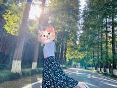 -黄海国家森林公园