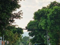 -西涌国际滨海旅游区